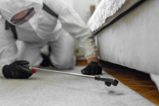Professional Ant Control technician working in Titusville, FL