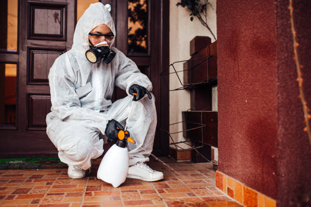 Reliable Ant Control contractor in Titusville, FL by Show Me Pest Control